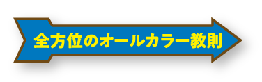 全方位のオールカラー教則