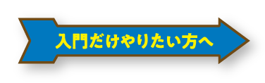 入門だけやりたい方へ