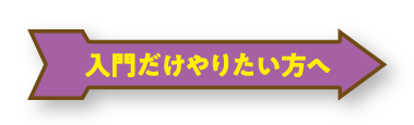 入門だけやりたい方へ