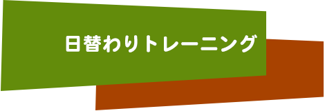 日替わりトレーニング