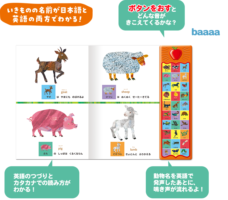 いきものの名前が日本語と英語の両方でわかる！