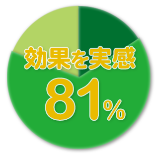 効果を実感 81％