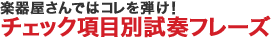 楽器屋さんではコレを弾け！チェック項目別試奏フレーズ