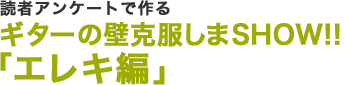 読者アンケートで作るギターの壁克服しまSHOW!! 「エレキ編」