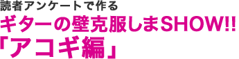 読者アンケートで作るギターの壁克服しまSHOW!! 「アコギ編」