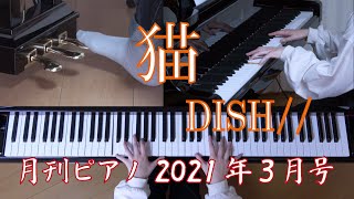 猫　DISH//　月刊ピアノ３月号