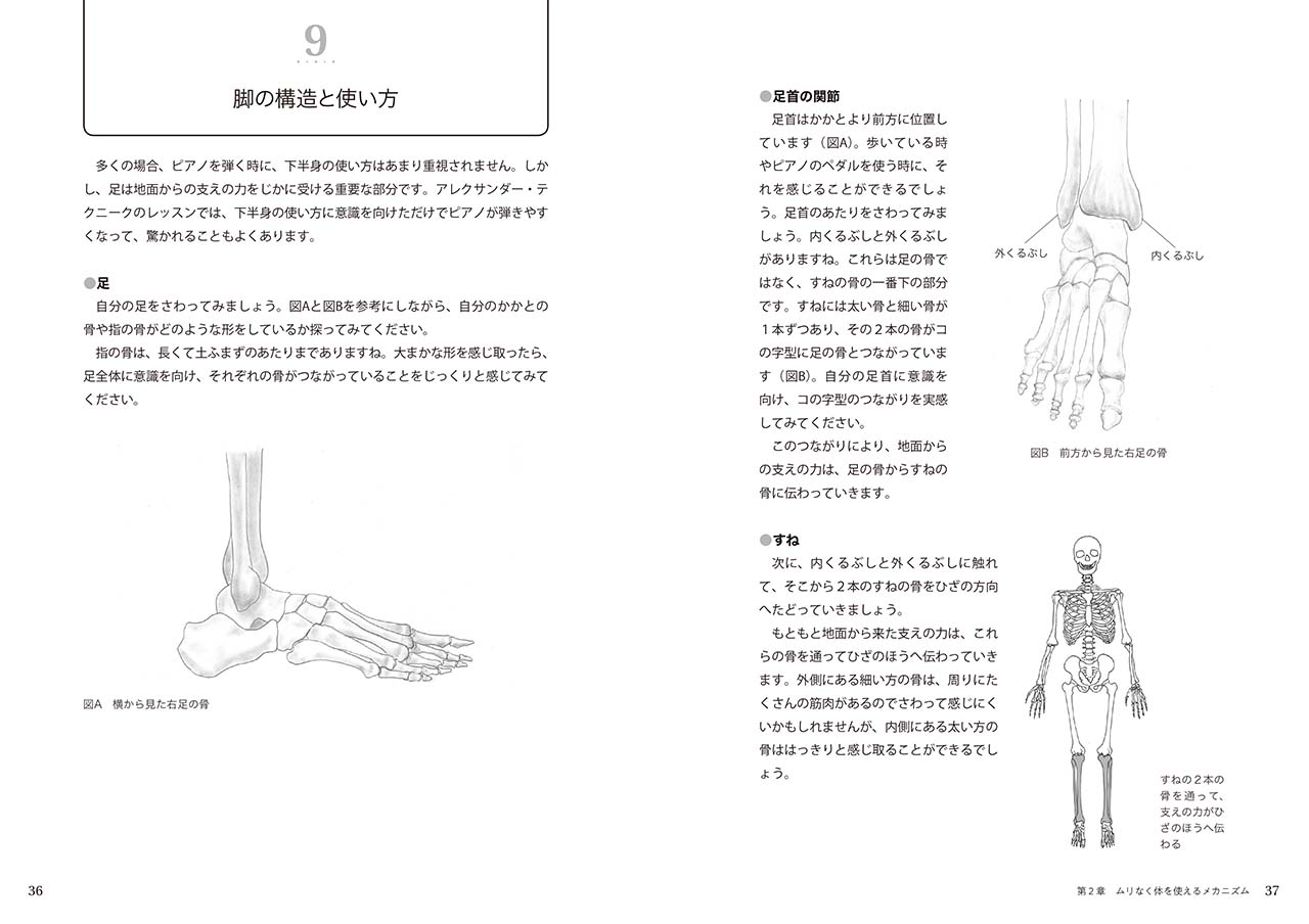 拡大画像を見る