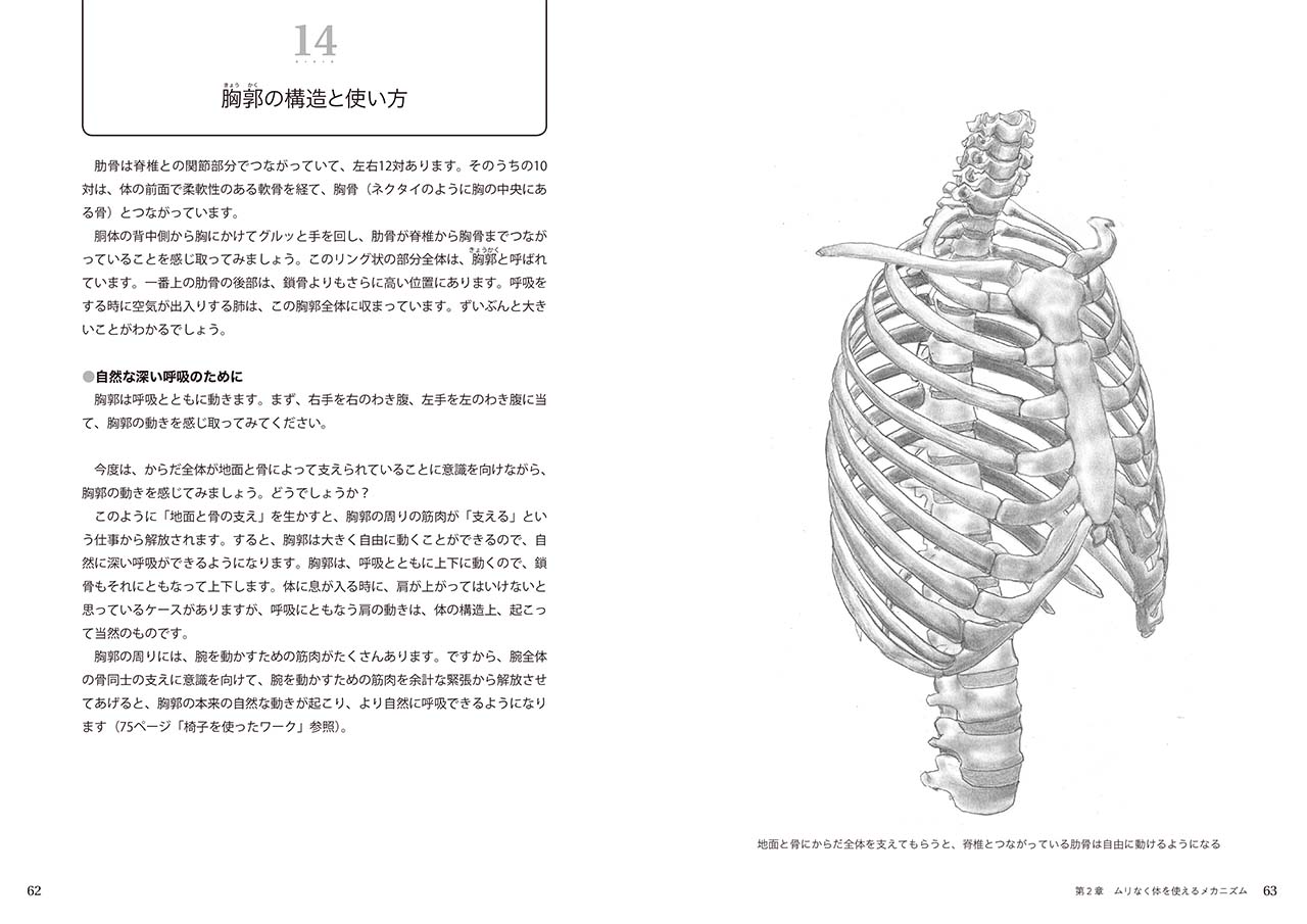 拡大画像を見る