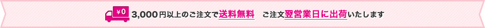 3,000円以上のご注文で送料無料　ご注文翌営業日に出荷いたします